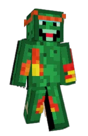 Skin preview