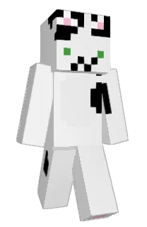 Front of DeehBro's skin