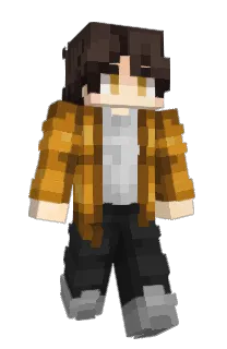 Front of Polaris_N's skin