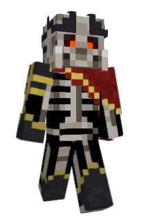 Front of Vono's skin