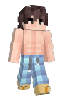 Front of Herography's skin