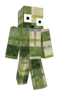 Front of whizbird's skin