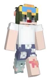 Skin preview