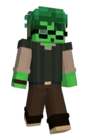Skin preview