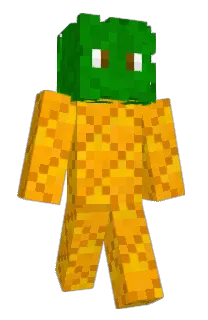 Front of Ananas204's skin