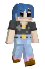 Skin preview