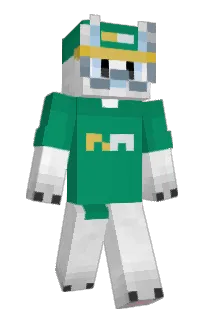 Front of NotGobou's skin