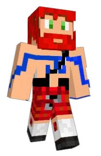 Felix_11111's Minecraft skin
