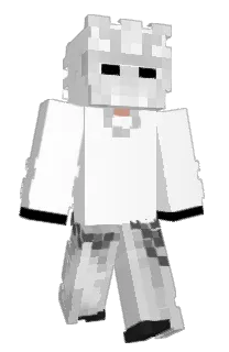 Front of ojaj's skin