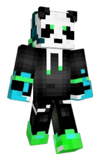 Front of AeroAssassin's skin