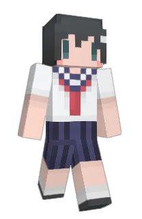 Front of shinataro's skin