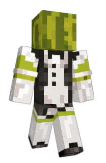 Front of Minecraft skin