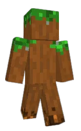 DirtBlock1's Minecraft skin wearing the Common cape