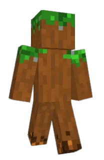 Front of DirtBlock1's skin