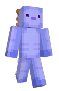 Front of Kaczkorzab_'s skin