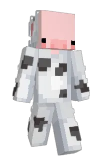 Front of AmWinnie's skin