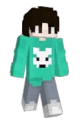 SnowflakeTM