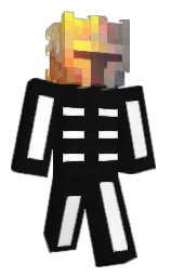 cod gray and white Minecraft skin — Classic model