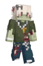 Skin preview