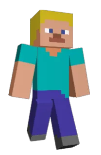 Front of wilrem's skin