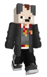 rljaemin's Minecraft skin wearing the Migrator cape