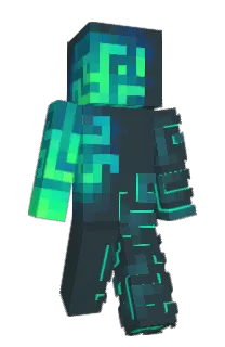 Front of disdez's skin