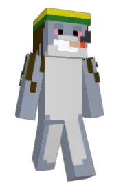 Skin preview