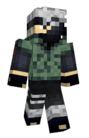 Skin preview
