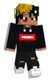 Skin preview