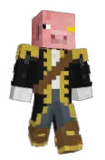 MetroPig