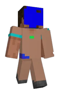 hosimoti's Minecraft skin