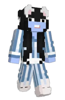Front of meatbirdeatbird's skin