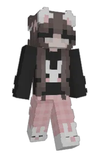 Front of Voxl's skin