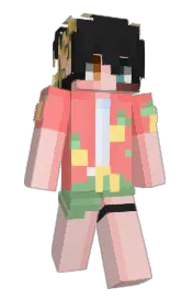 Skin preview