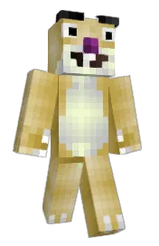 Skin preview