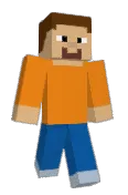LEGO_496