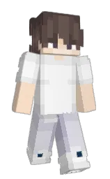 Slim Minecraft skin