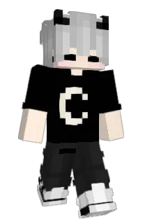 Front of Minecraft skin