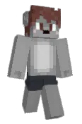 DGMR2
