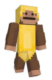 nqiro's Minecraft skin