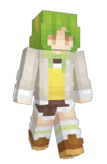 Front of foarfece's skin