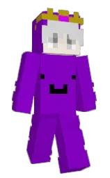 purple and pot pourri Minecraft skin — Slim model