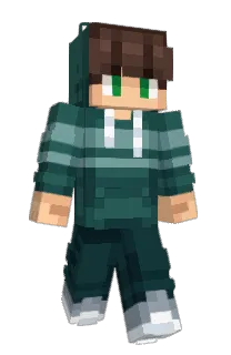 Front of zCerta's skin