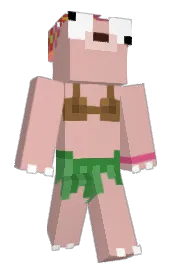 Skin preview