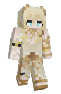 Front of Code1001's skin
