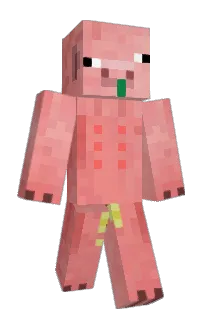 Front of ElinatorLP's skin