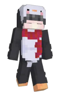 meishaki's Minecraft skin