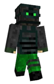 Skin preview
