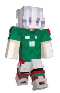 Front of bohsaurio's skin