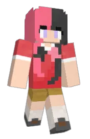 Skin preview